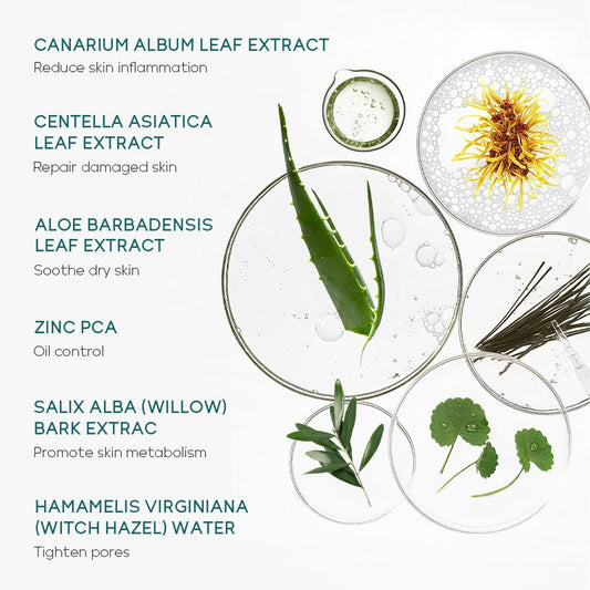 Ansiktspleiesett med tea tree – 5 deler - GlowNordi