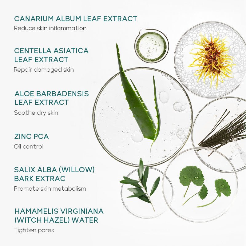 Ansiktspleiesett med tea tree – 5 deler - GlowNordi